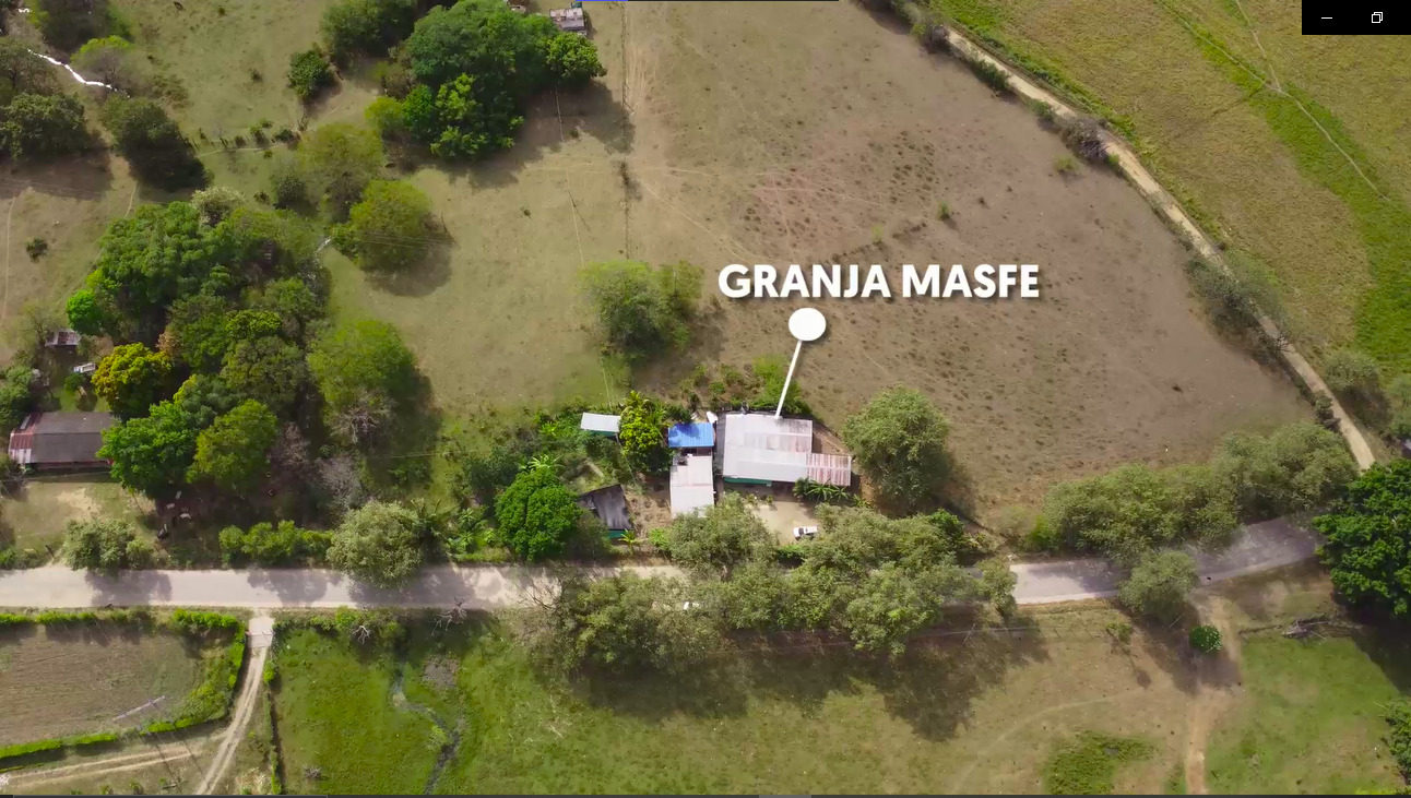 Foto dinámica